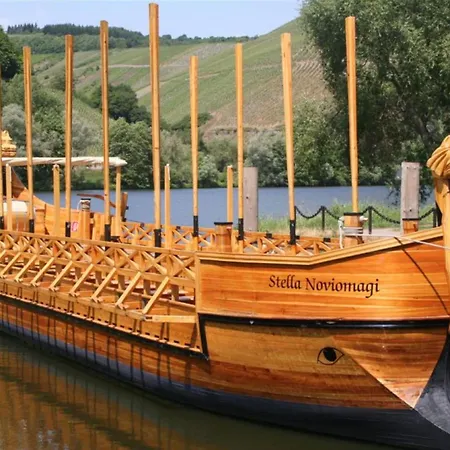 Historical Moselle House In Apartament Neumagen-Dhron