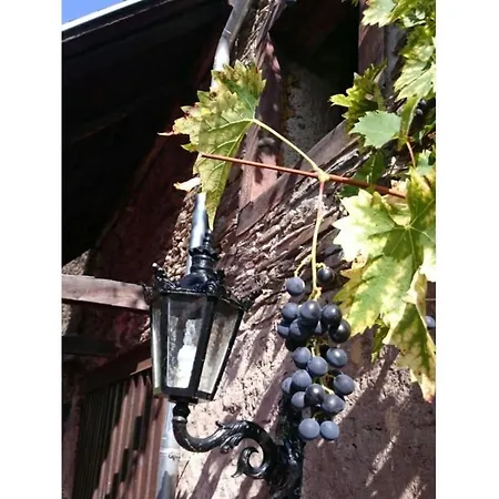 Historical Moselle House In Apartament Neumagen-Dhron