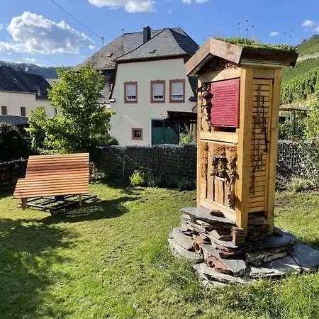Historical Moselle House In