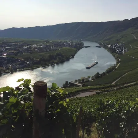 Historical Moselle House In *