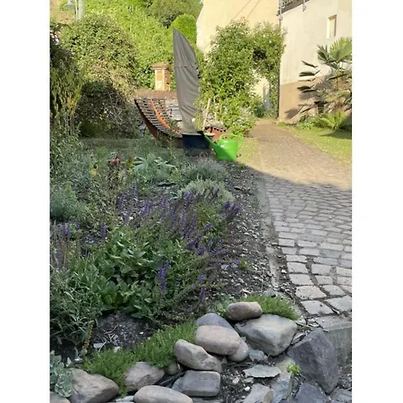 Apartament Historical Moselle House In Neumagen-Dhron