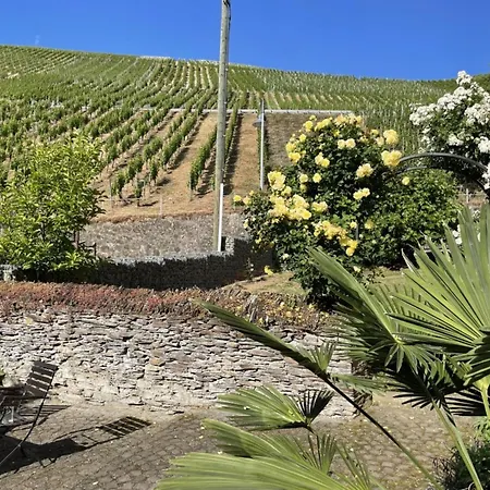 Historical Moselle House In Apartament Neumagen-Dhron